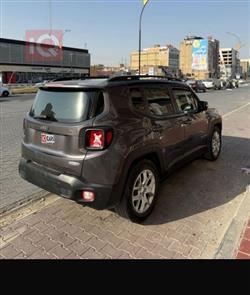 جيب رينيجيد